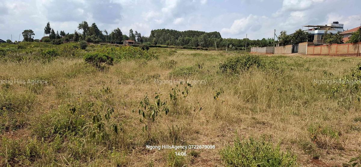 Land in Ngong - 13