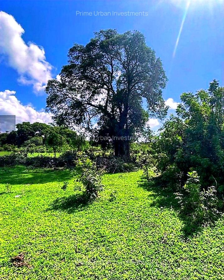 167.5 ac Land at Kuruwitu Beach - 5