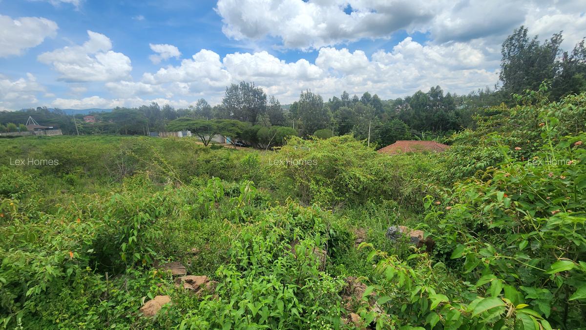 0.2 ha Commercial Land at Merisho Road - 6