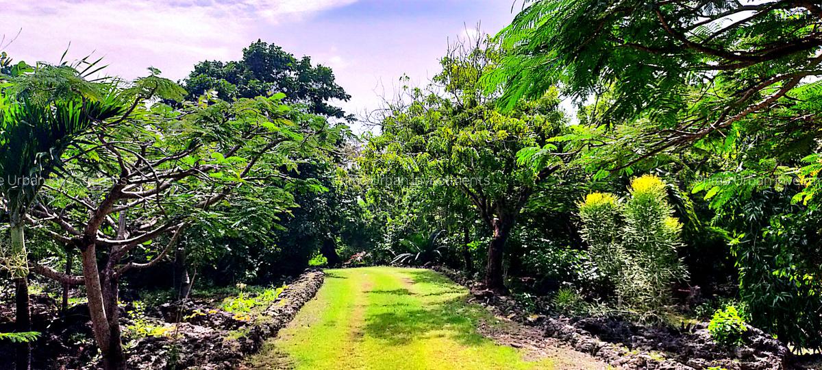 4 Bed House with En Suite at Kuruwitu Beach - 5