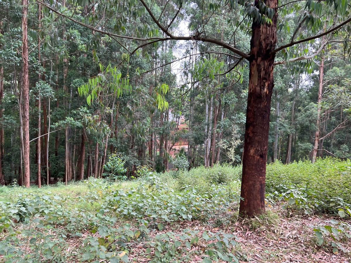 Residential Land at Nyari Estate - 7