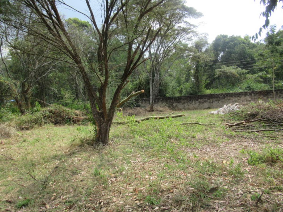 Residential Land at Masai West Rd - 1