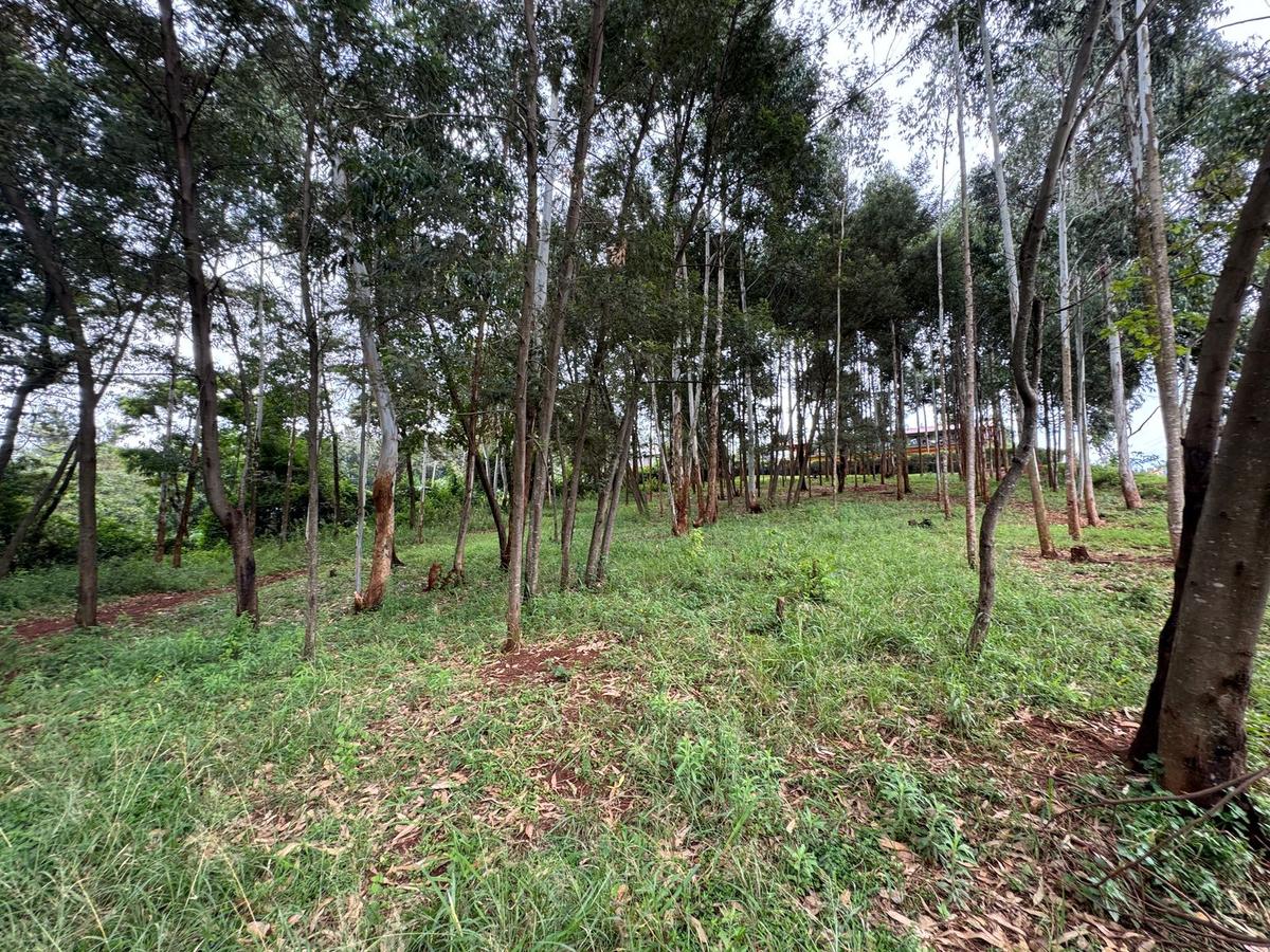 Land in Uthiru - 2