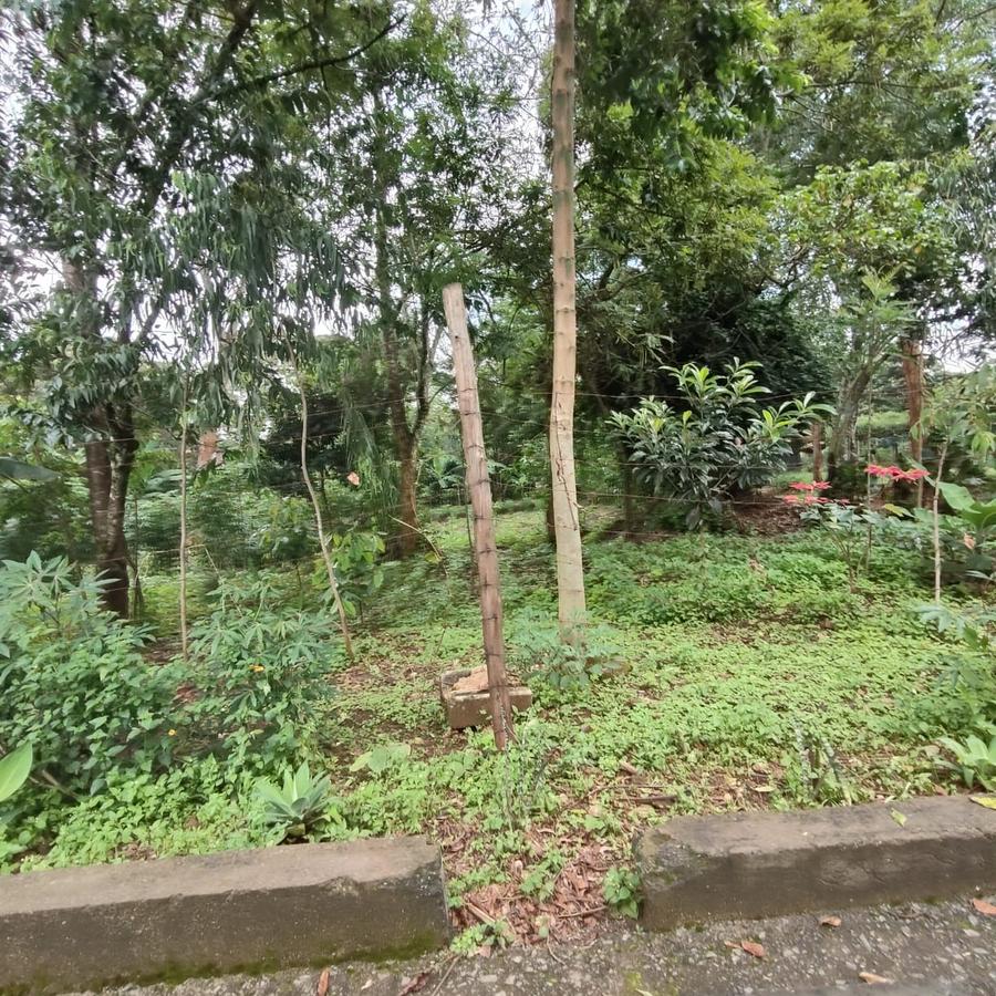 0.5 ac Land at Nandi Road - 5