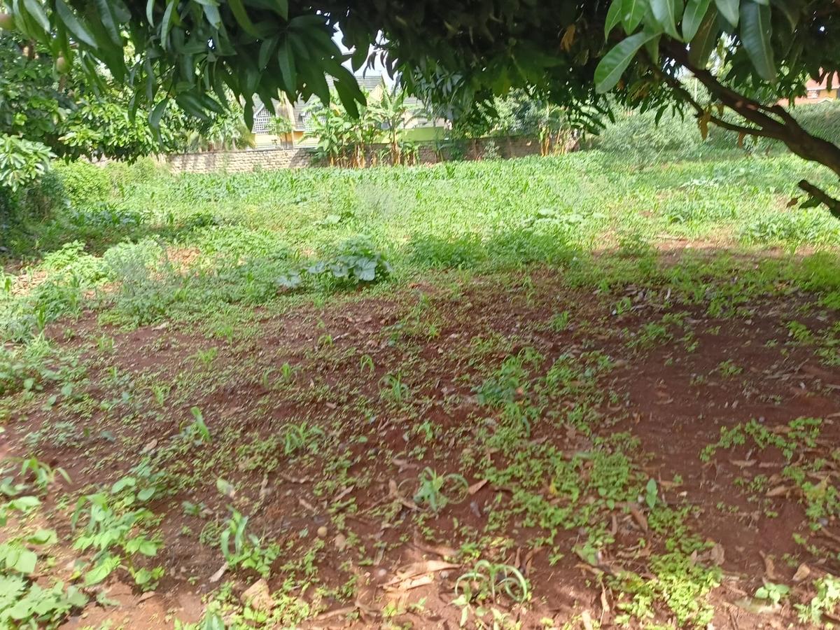 Residential Land at Runda - 1