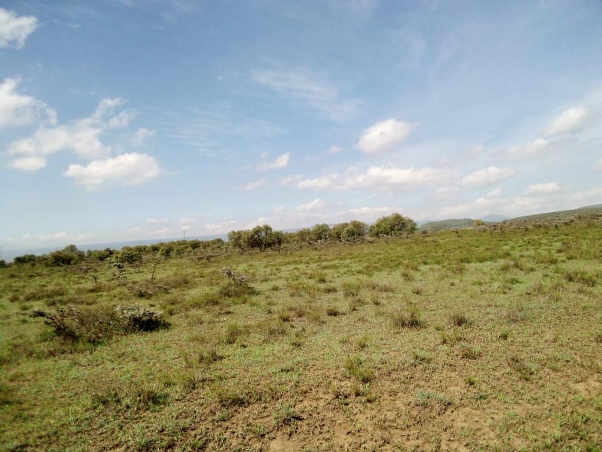 Land in Naivasha - 4