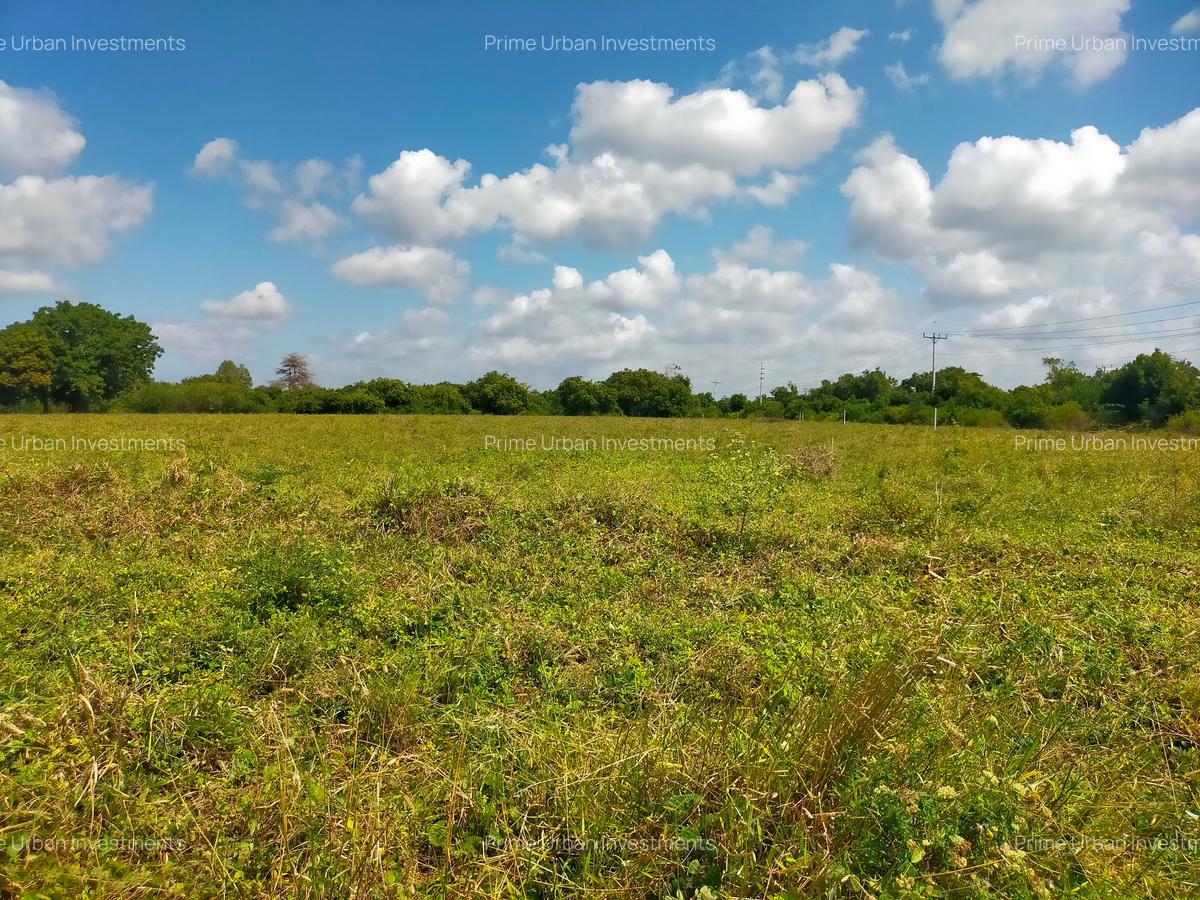 Residential Land in Kilifi - 11