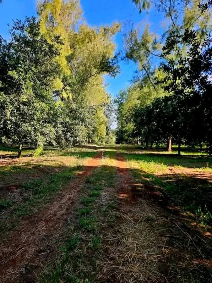 50 ft² Residential Land at Juja - 2