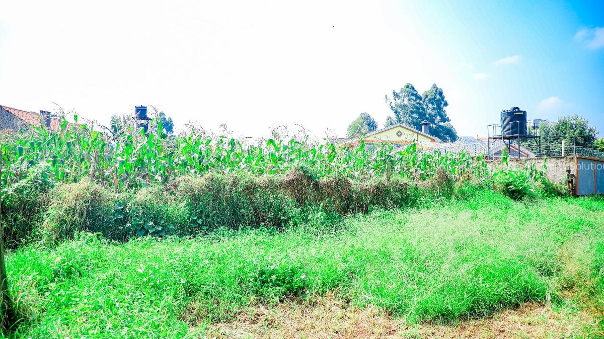 0.1 ha Commercial Land at Sigona - 2