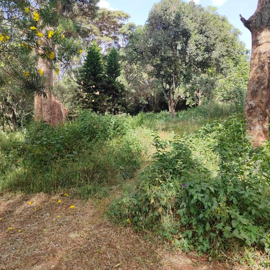 4.1 ac Land at Farasi Lane - 1