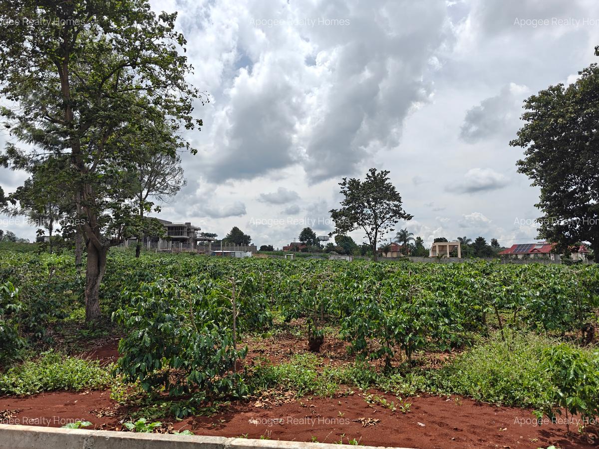 0.5 ac Land at Runda - 16
