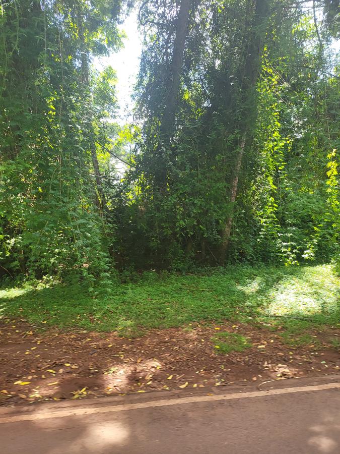 Land in Karen - 1