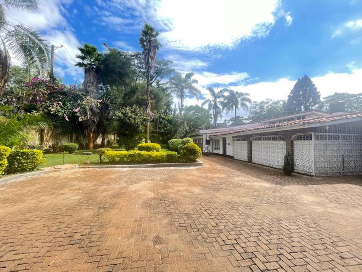 Commercial Property with Fibre Internet at Lavington - 2