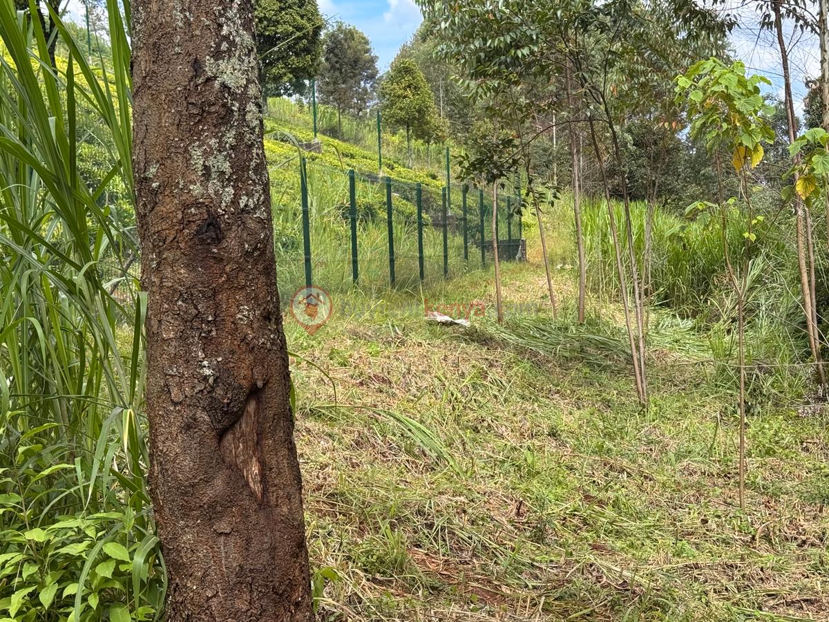 0.5 ac Land at Limuru Girls Secondary School - 7