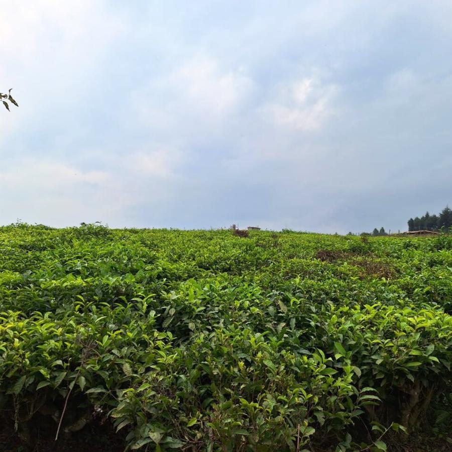 1 ac Land at Limuru Girls - 3