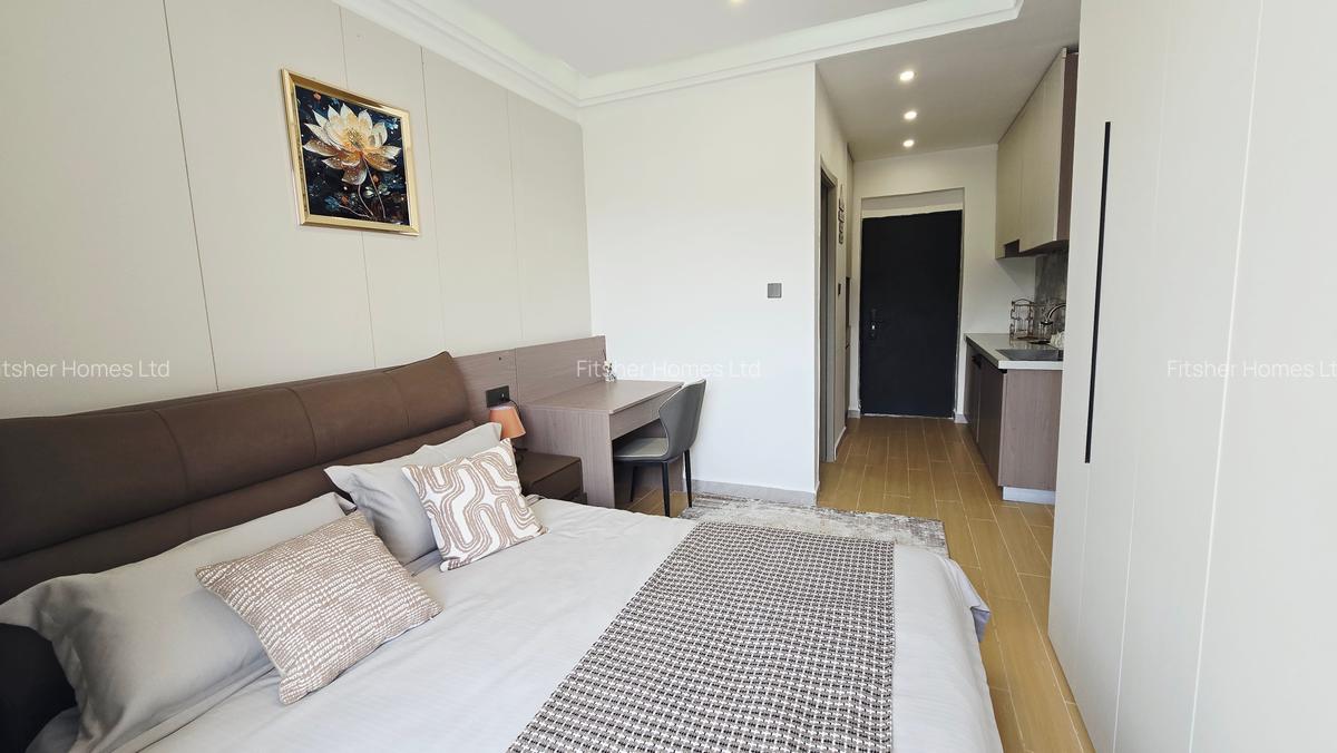 Studio Apartment with En Suite in Thika Road - 17