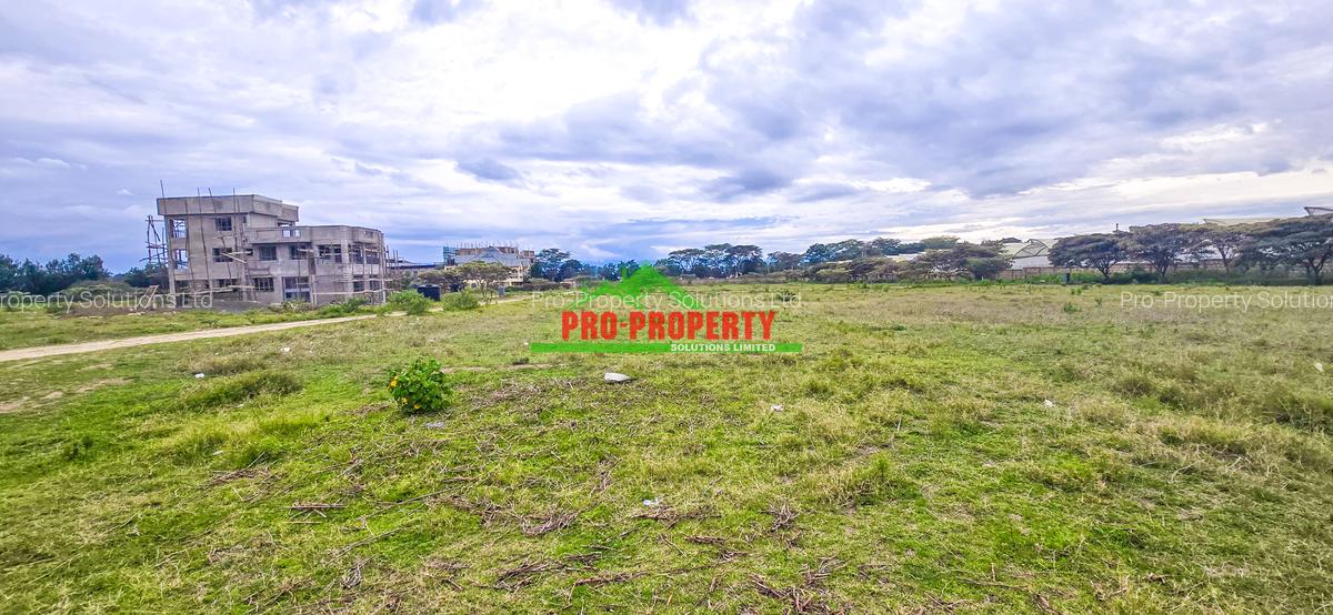 0.05 ha Residential Land in Naivasha - 7