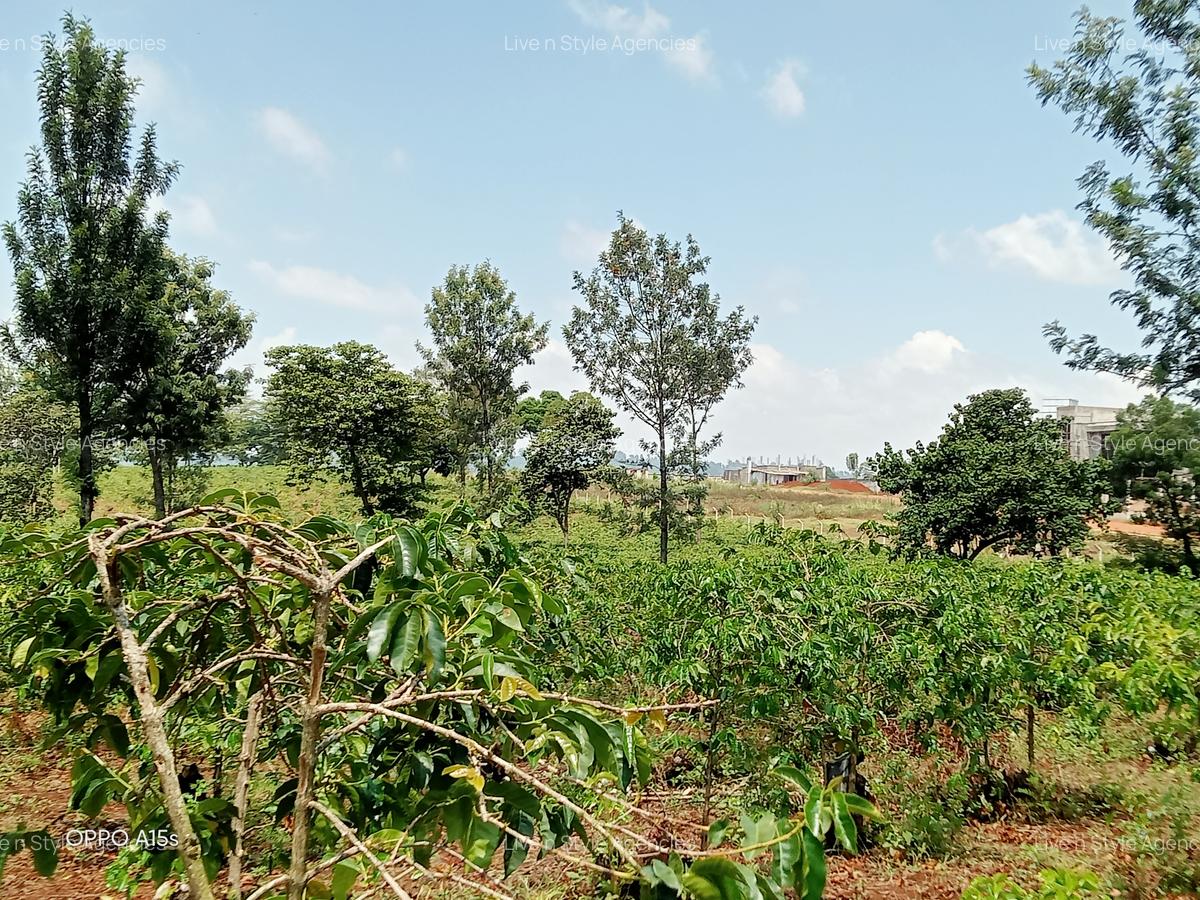 Residential Land in Runda - 7