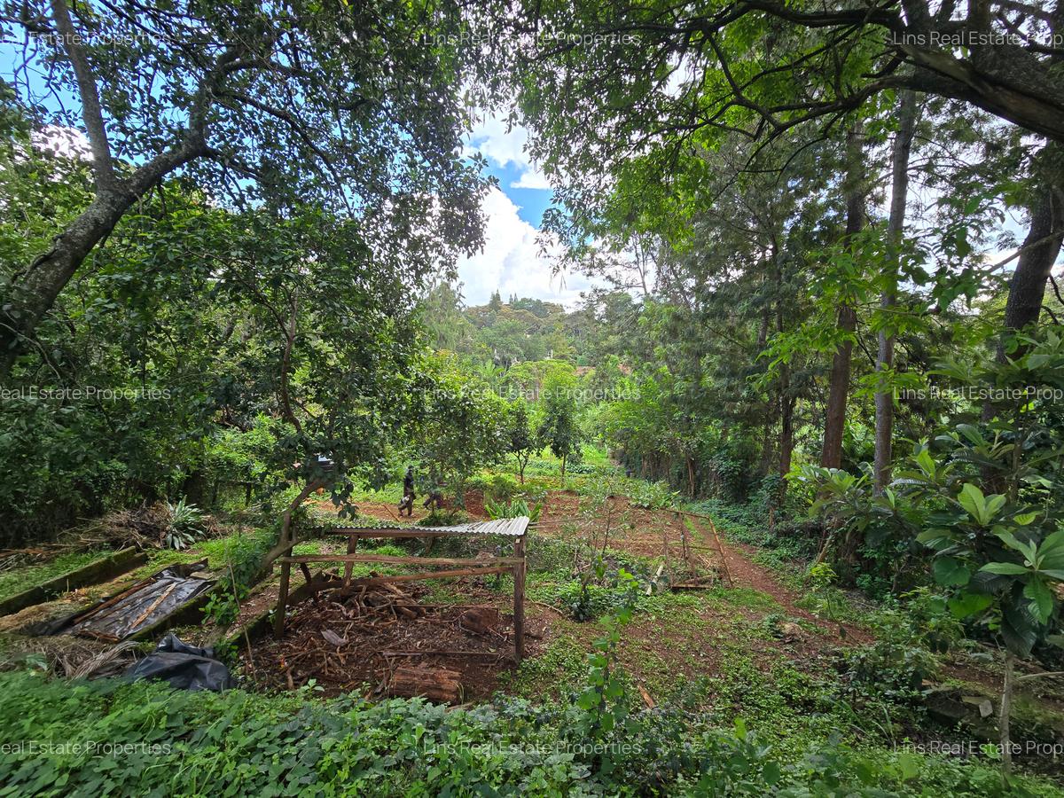 4 Bed House with En Suite in Loresho - 10