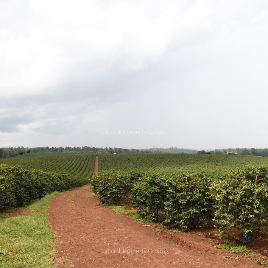 Residential Land in Juja - 3