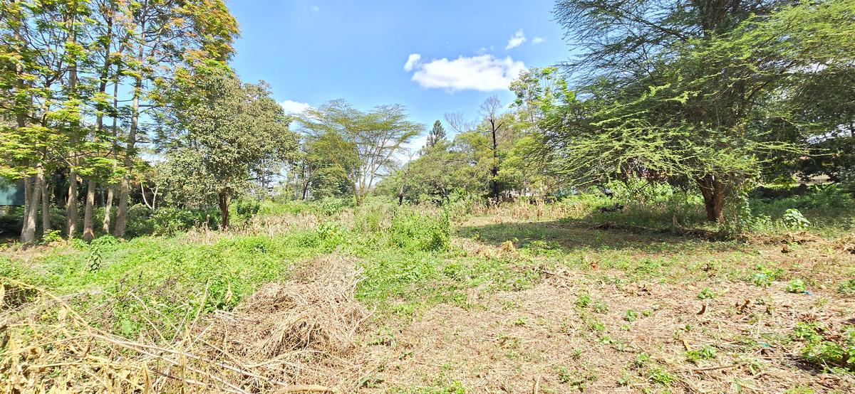 Residential Land at Shanzu Road - 8