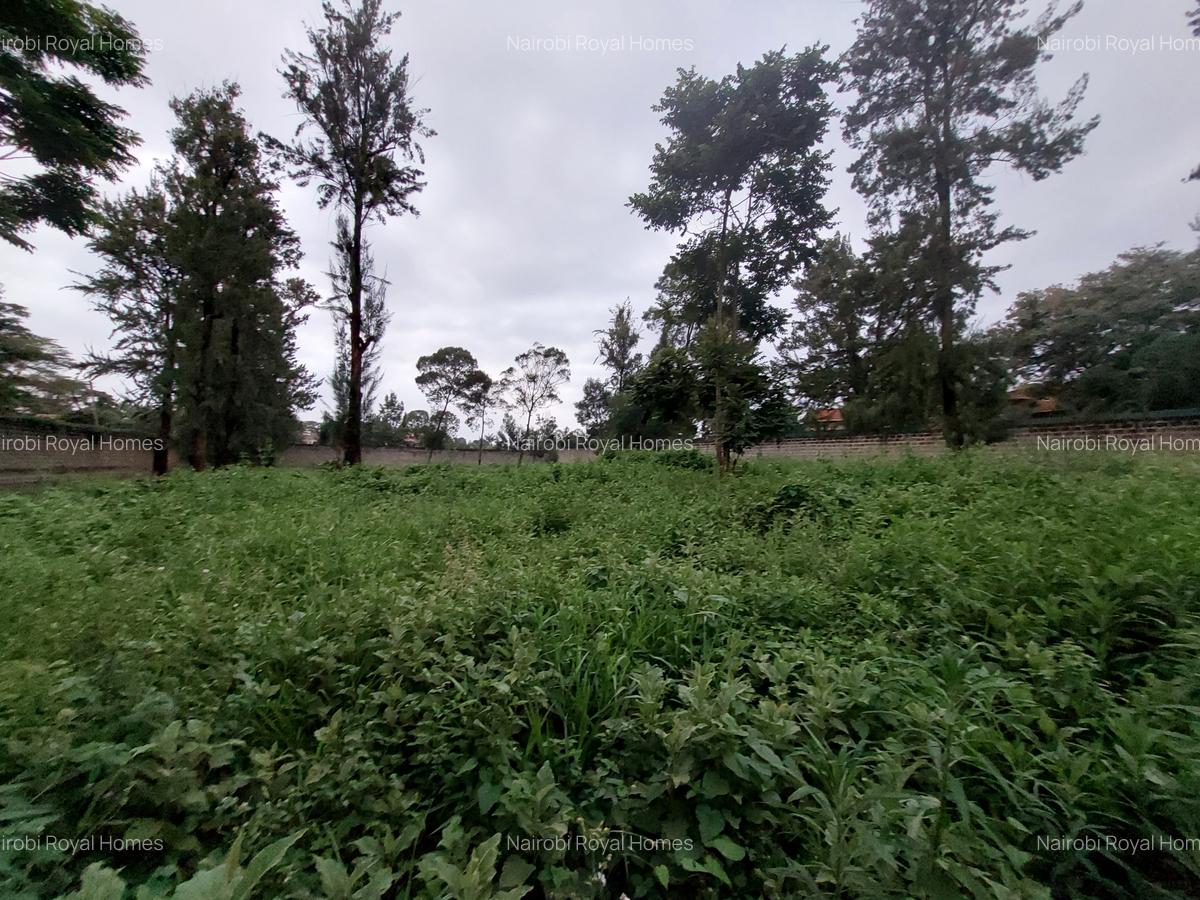 Residential Land at Runda Grove - 12