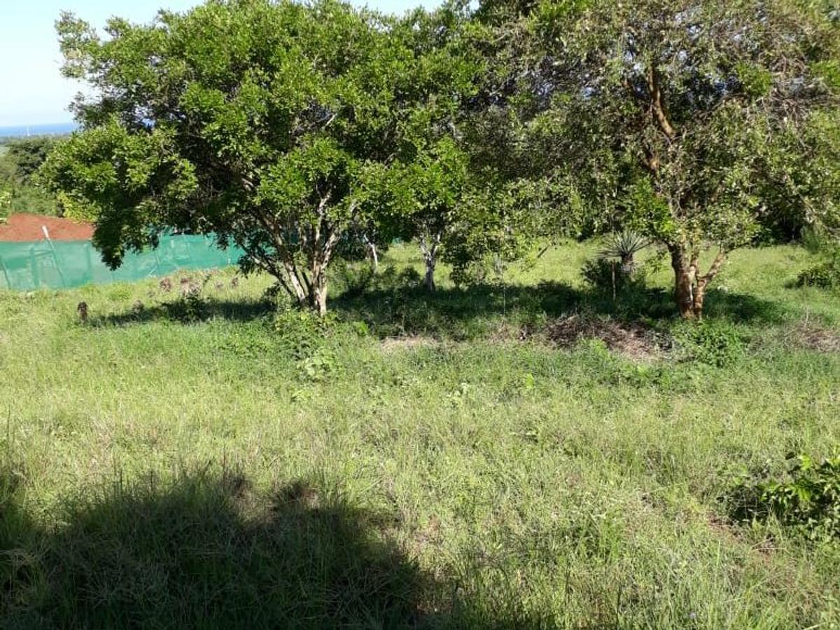 3,035 m² Land at Vipingo - 6