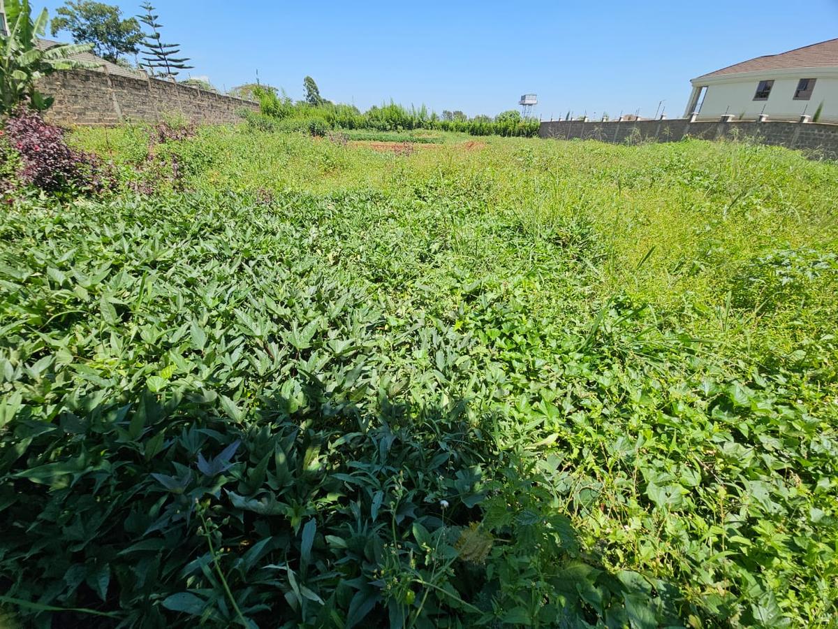 44 ac land in kiambu road