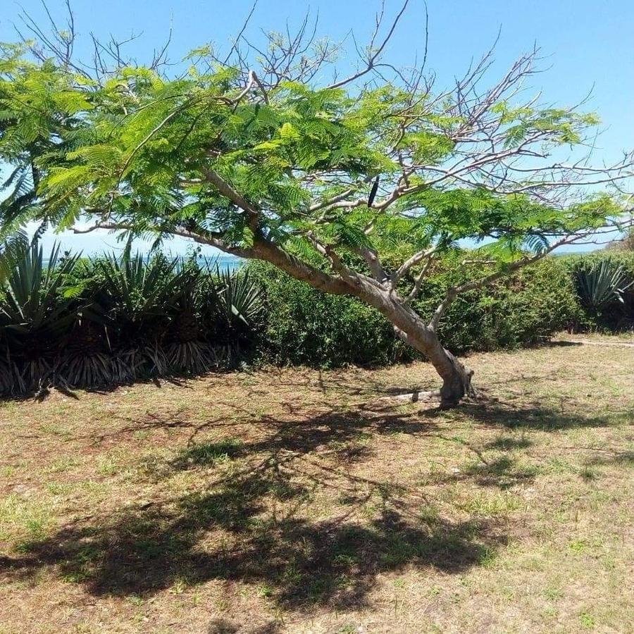 Residential Land in Nyali Area - 8