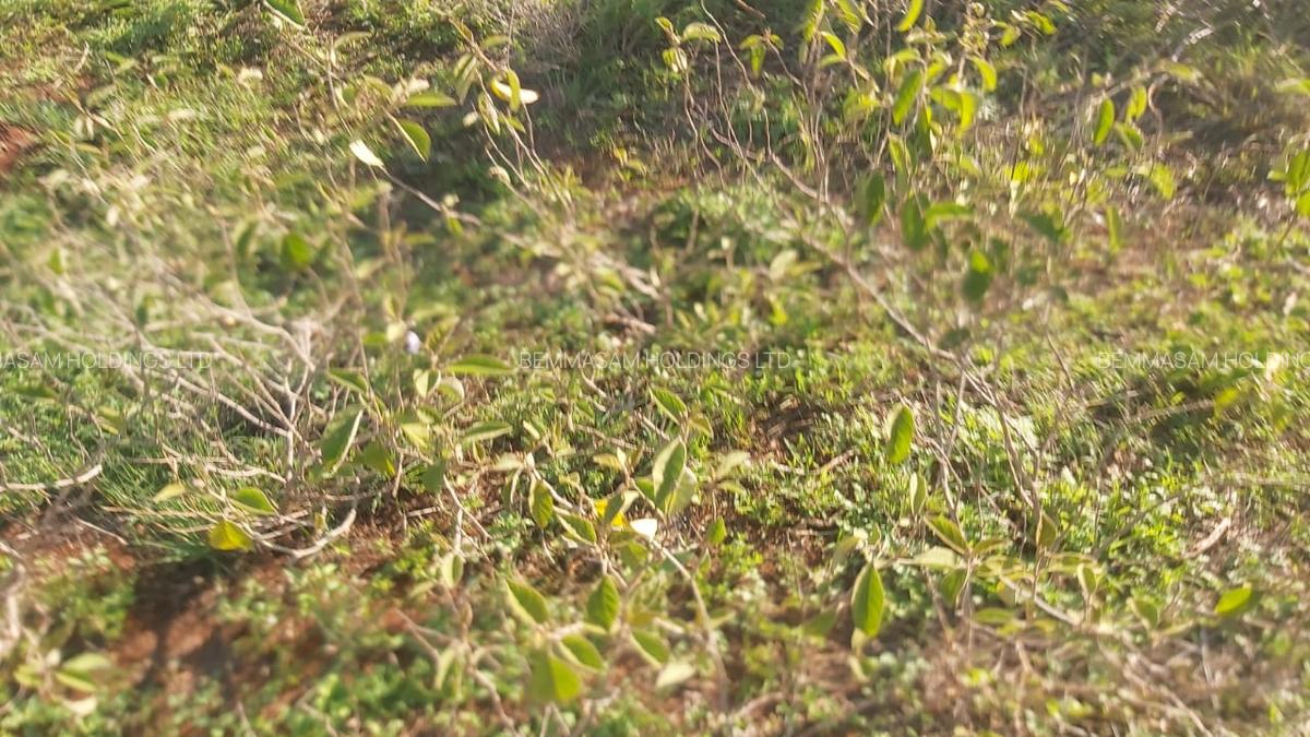 9.8 ac Land at Mombasa Road - 7