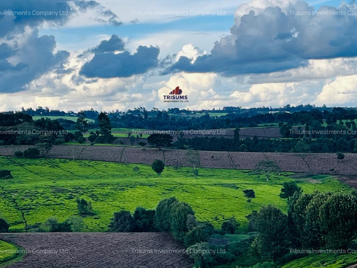 40 ac Land in Limuru - 1