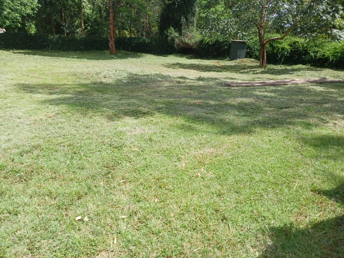 2.25 ac Land at Kitisuru - 18