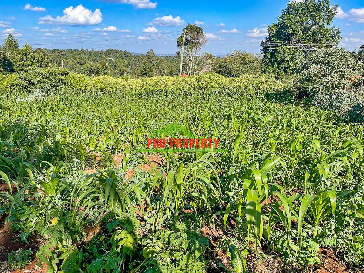 0.05 ha Commercial Land at Sigona - 6