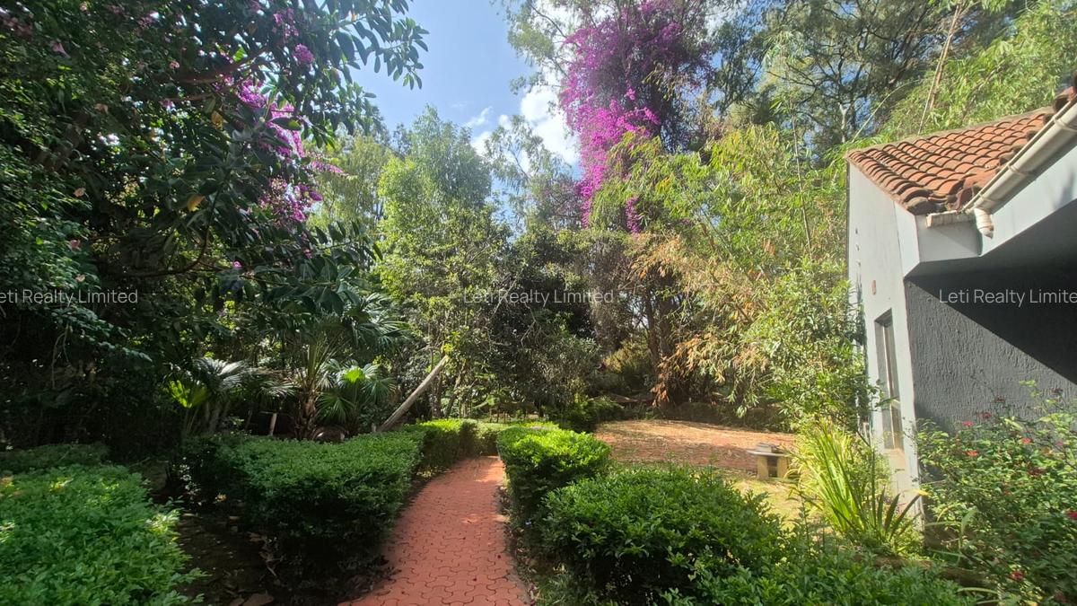 Commercial Property with Fibre Internet in Kileleshwa - 2