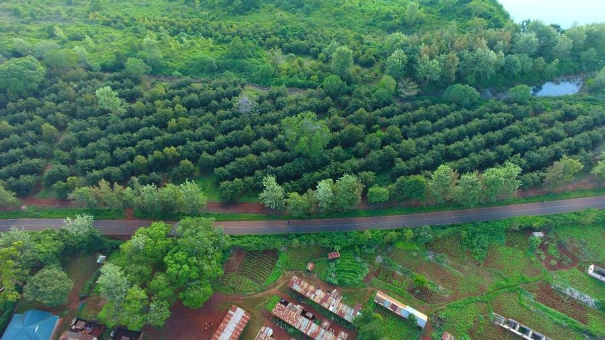 Residential Land at Juja -Gatundu Rd - 2