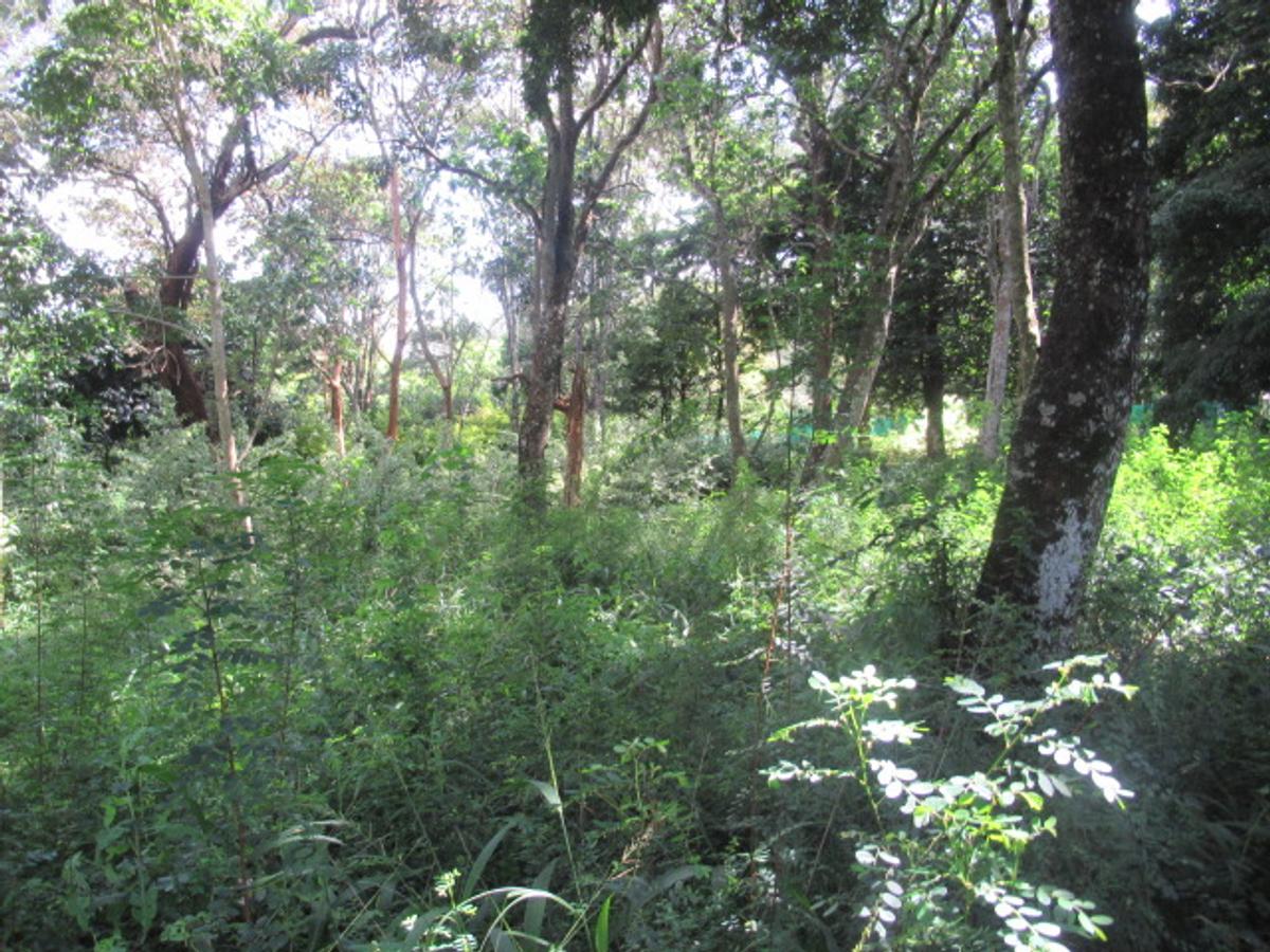 Residential Land at Mwitu Estate - 9