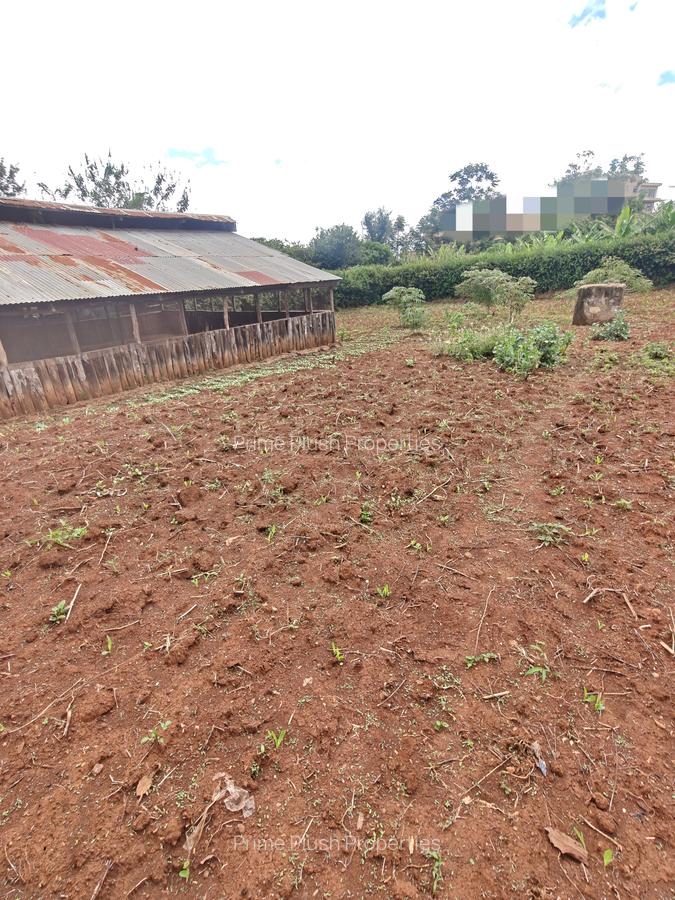 0.5 ac Land in Thome - 5