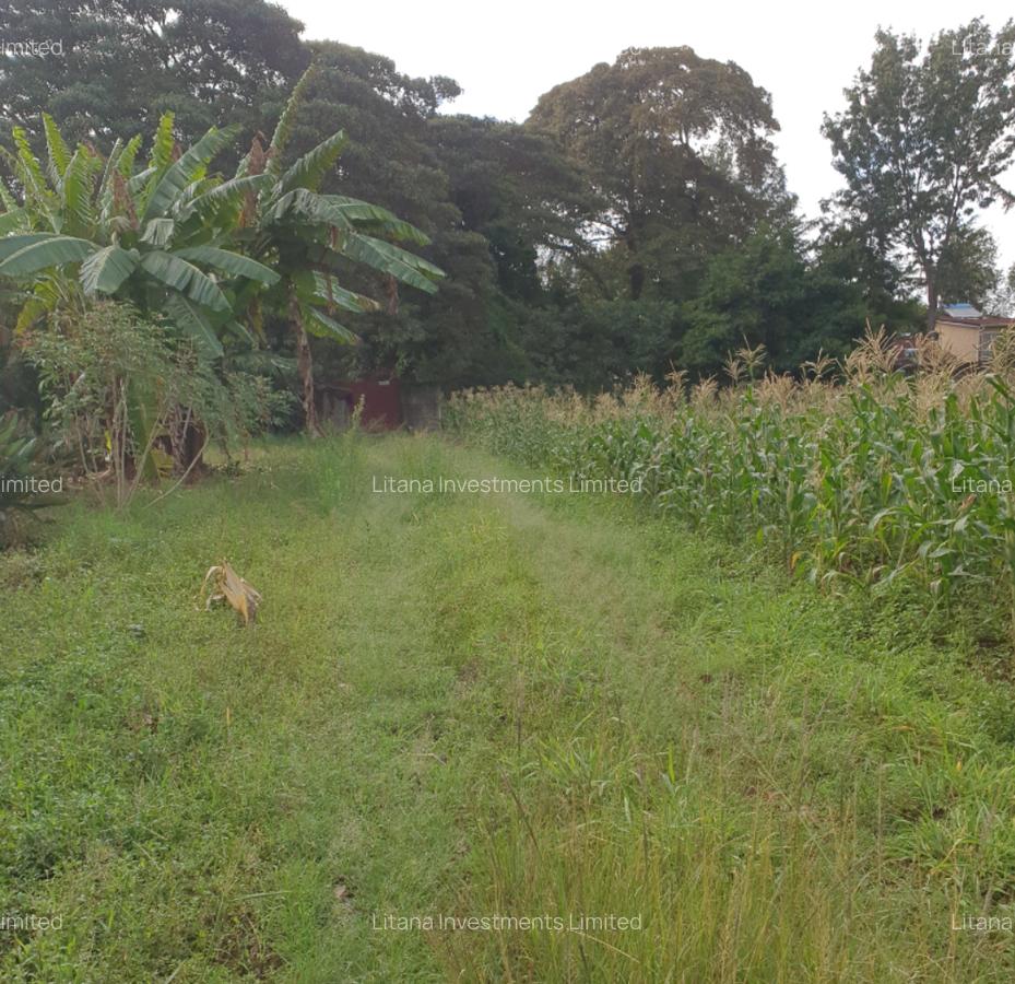 5 ac Land at Runda Paradise Off Kiambu Road - 5