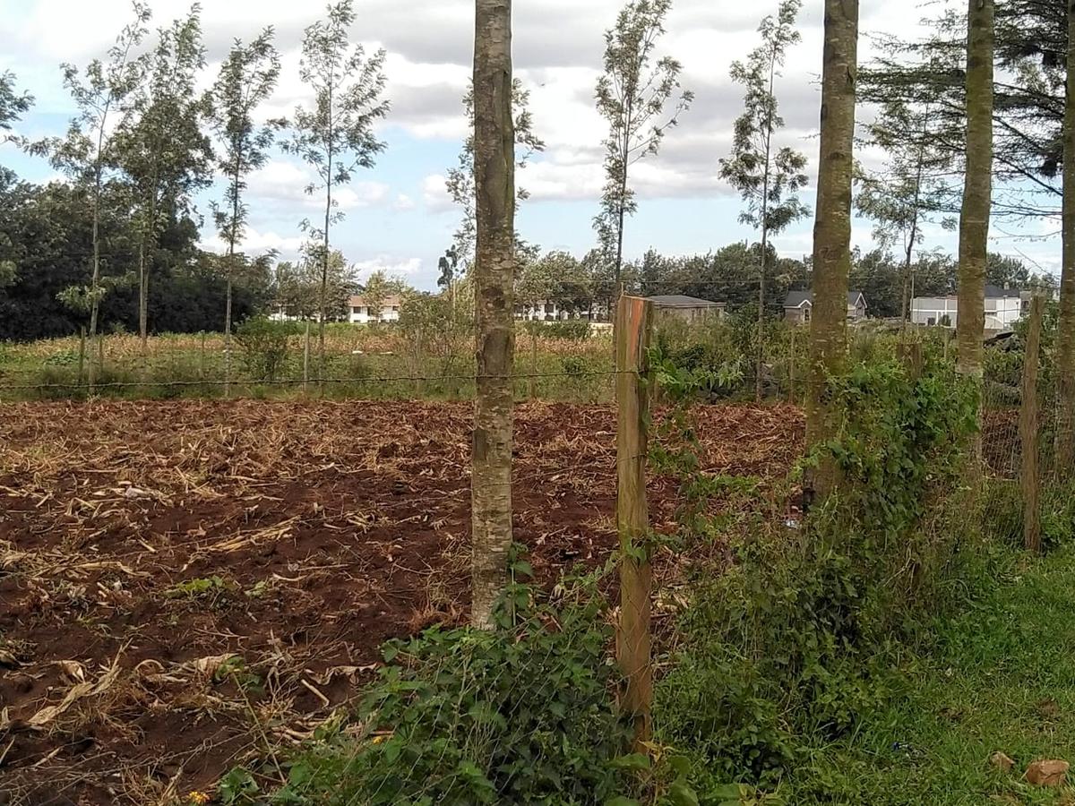 0.1 ha Residential Land in Ngong - 6