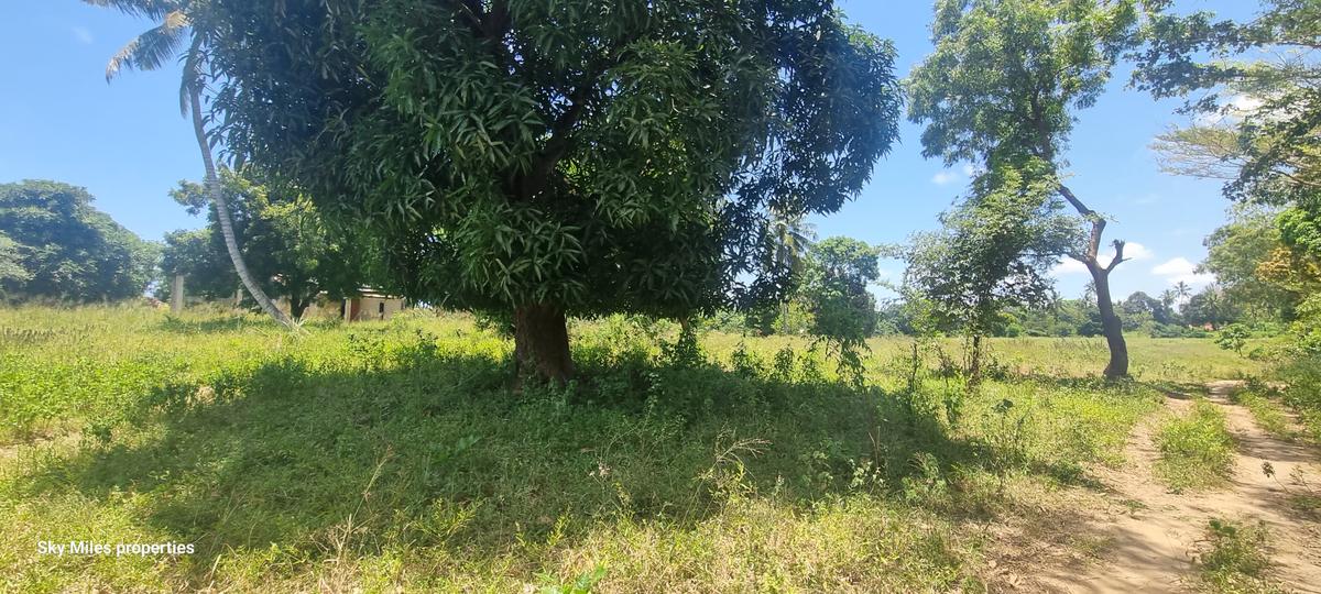 6 ac Land at Mtepeni - 7