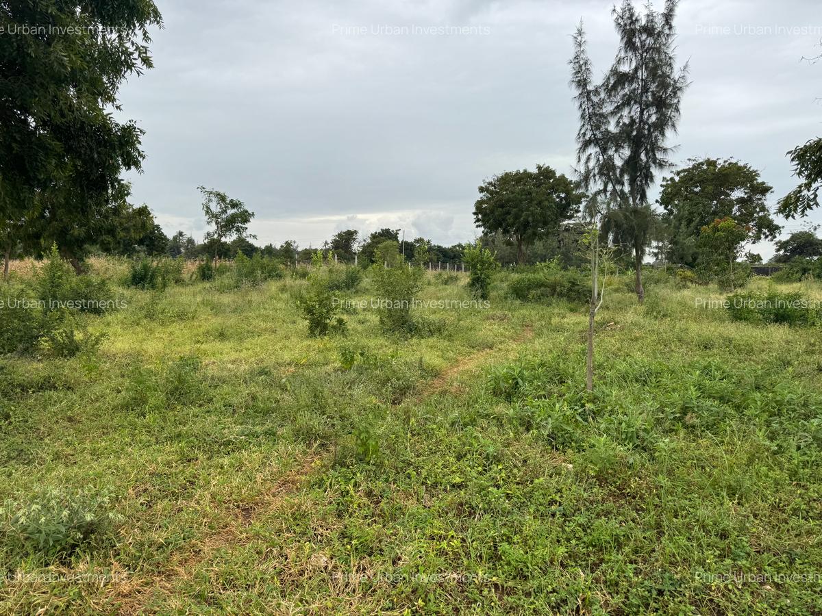 3.8 ac Land in Vipingo - 10