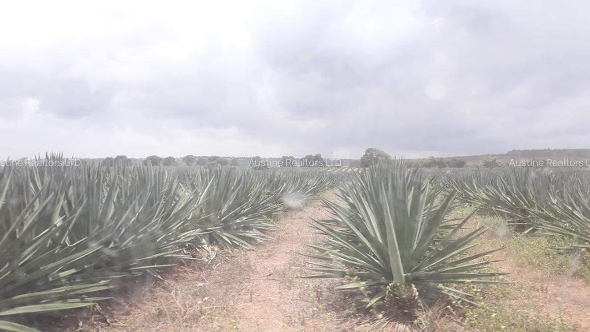 Land in Vipingo - 15