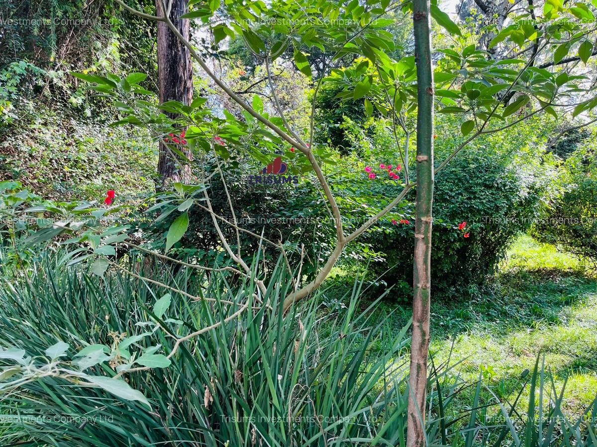 2.2 ac Land in Lavington - 7