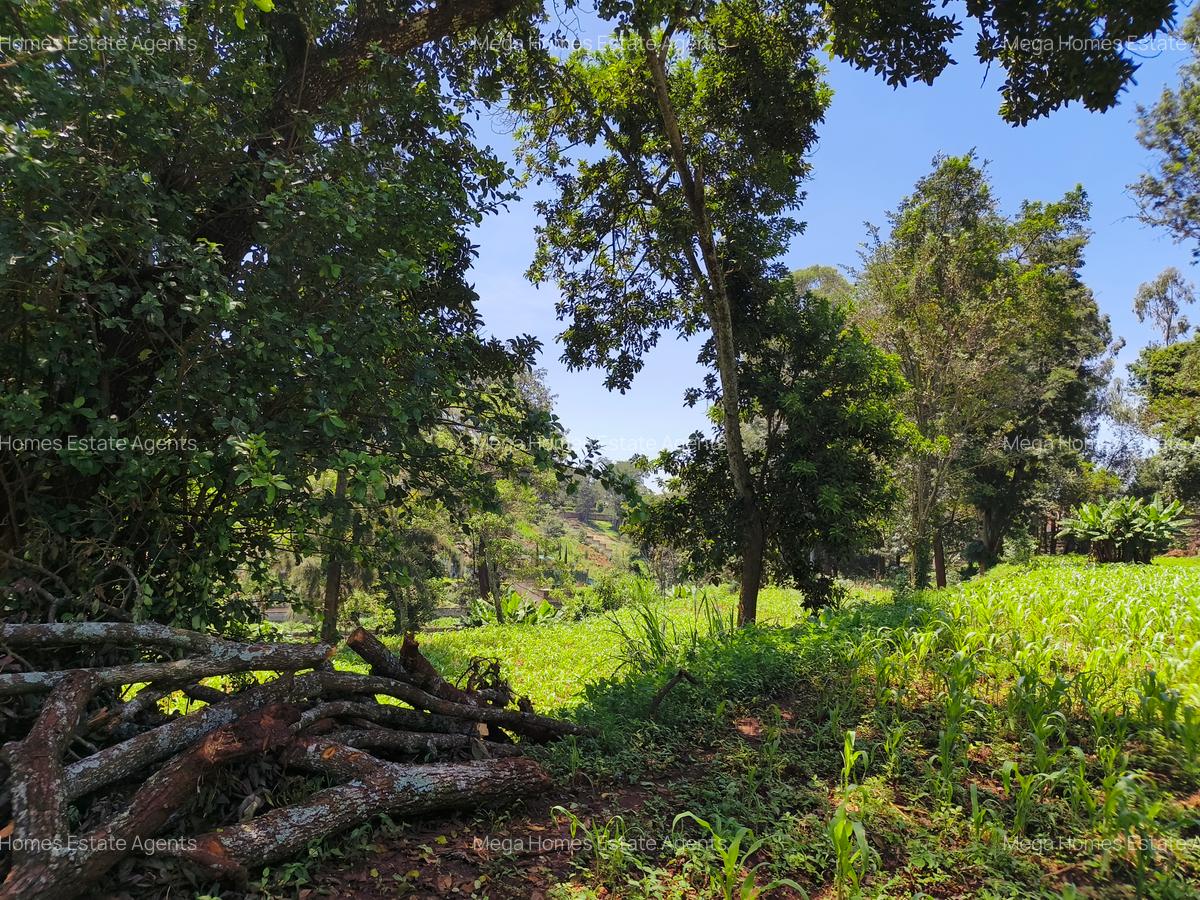 Land in Kitisuru - 7