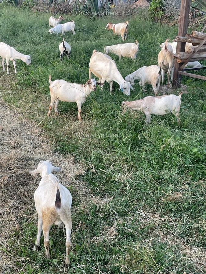 Land in Athi River - 9