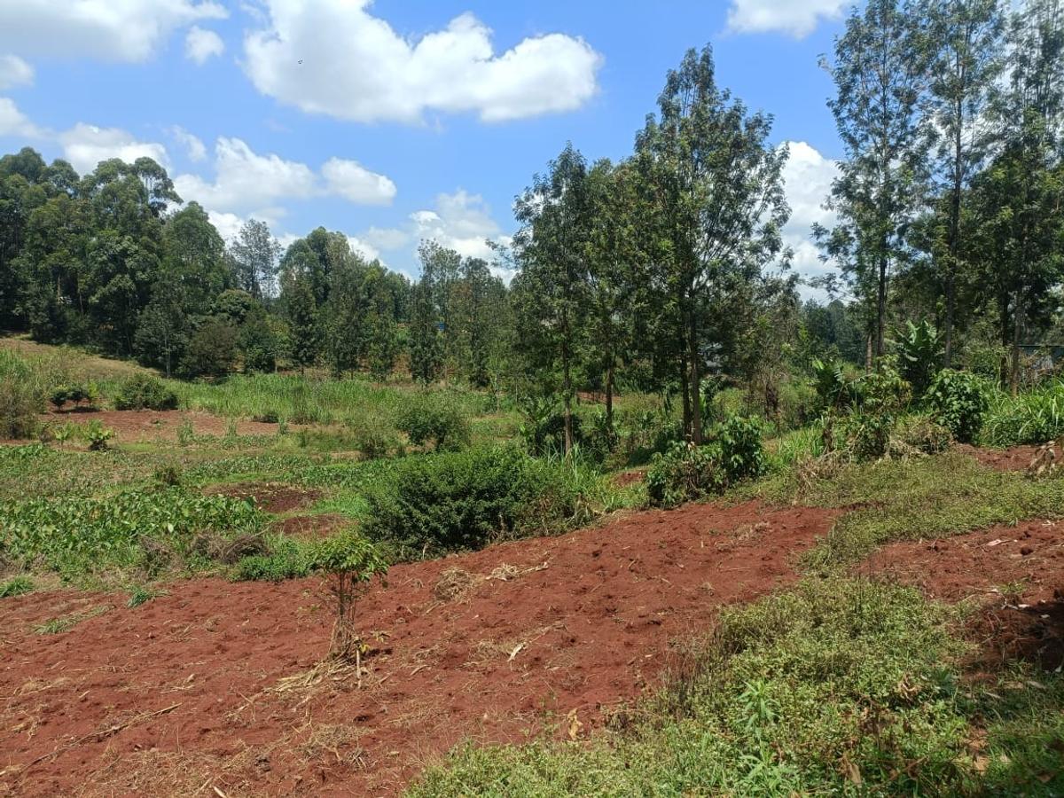 0.05 ha Land at Kiambu Ndumberi Ngemwa - 4