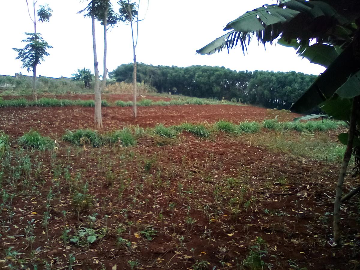 Land at Runda - 10