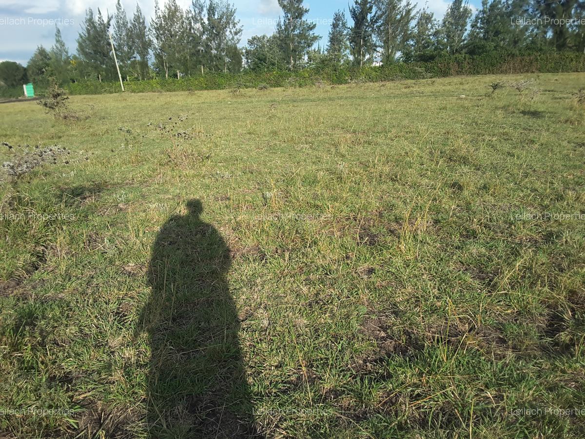 0.125 ac Residential Land in Ongata Rongai - 5