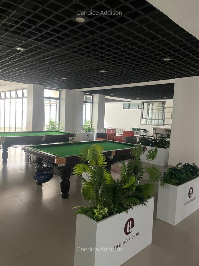 Serviced 2 Bed Apartment with En Suite at Othaya - 13