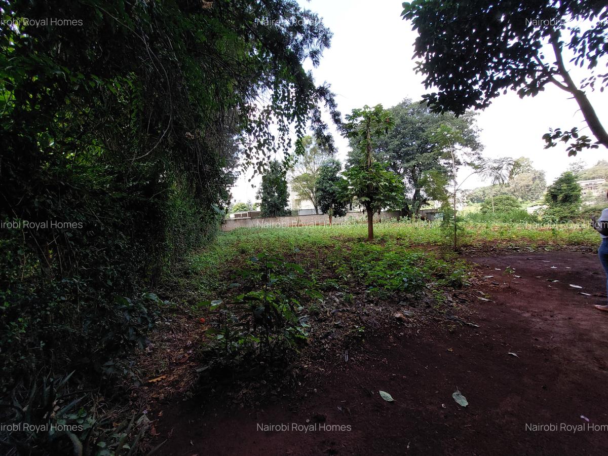 Residential Land at Kirawa Road - 5